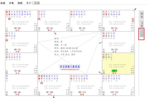 紫薇斗数男女排盘顺序