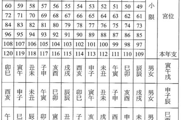 紫薇斗数男女排盘顺序
