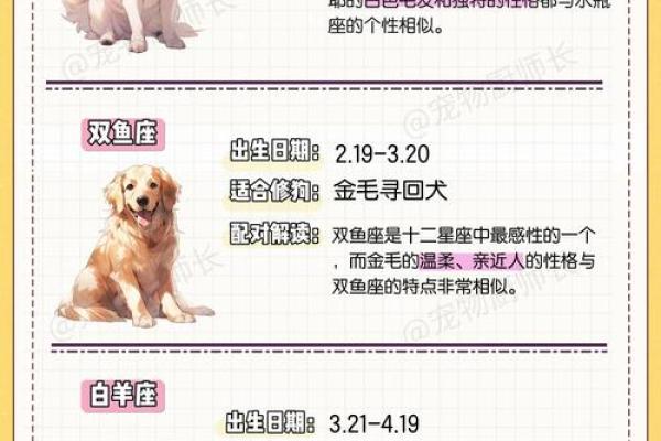 十二星座谁是最适合养的狗狗