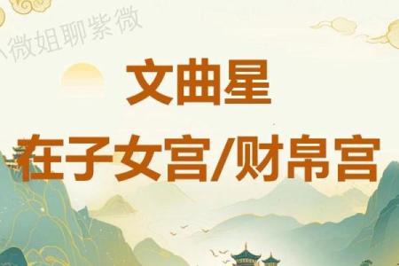 紫薇斗数之天才