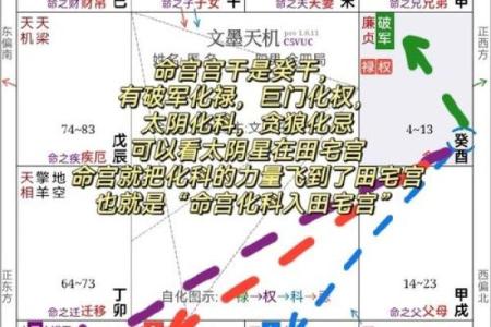 紫薇斗数武曲化科坐命辰宫
