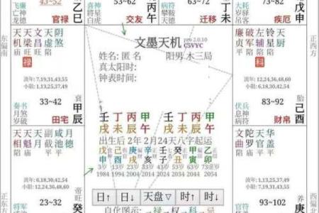 紫薇斗数的引导任务在哪