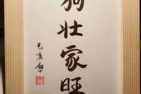 养狗生辰八字