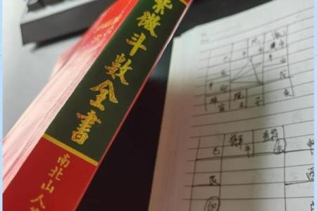 学紫薇斗数心得