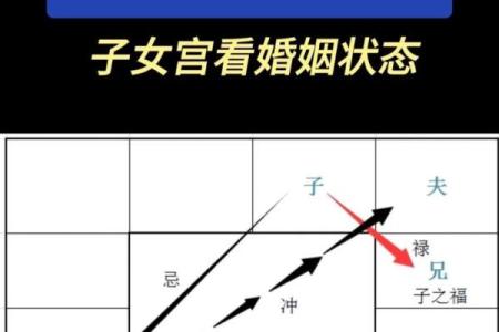 双胞胎紫薇斗数