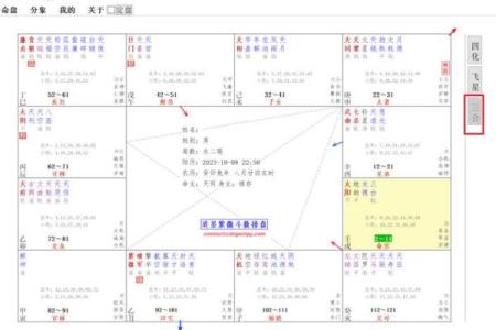 紫薇斗数男女排盘顺序