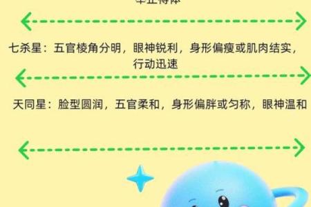 粤启明紫薇斗数