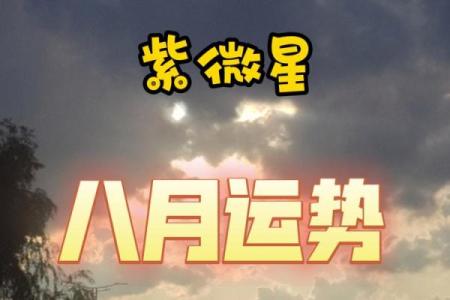 紫薇星座八月爱情运势
