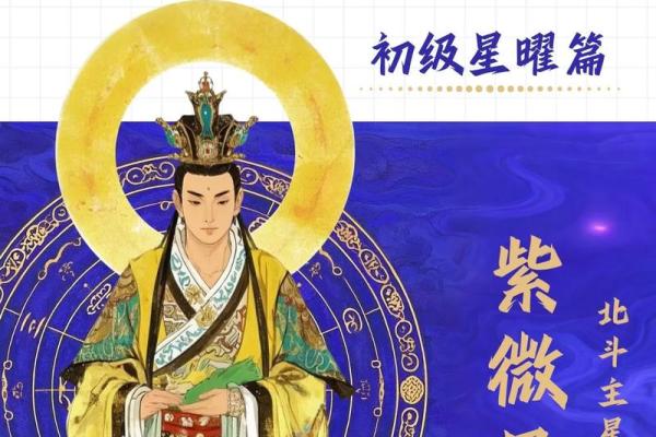 数术类古籍 飞星紫微斗数