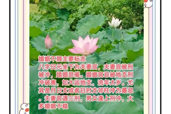婚姻多坎坷的八字