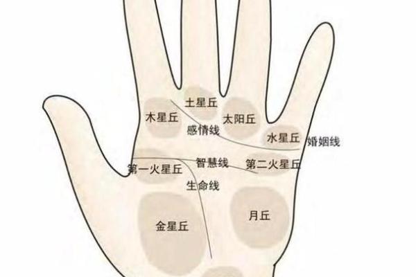 手相图解大全女 右手 算命 手掌红润柔软