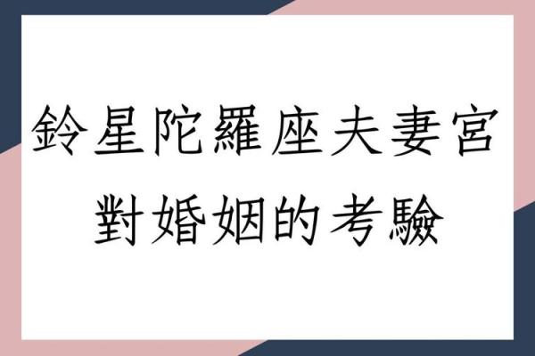 紫薇斗数合婚的准则