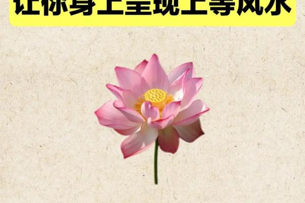 开运的风水方法有哪些？请查收