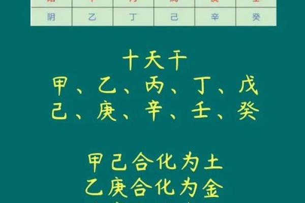 八字六合的午未是合化火还是合化土？