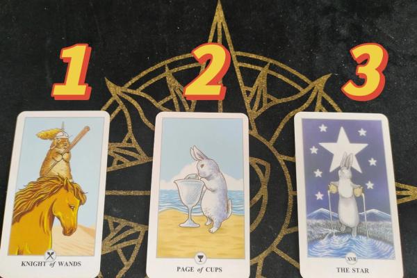 塔罗牌测试五月爱情运