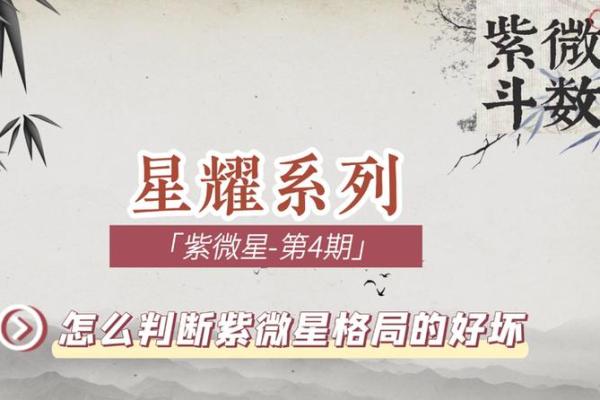 紫薇斗数看单位好坏