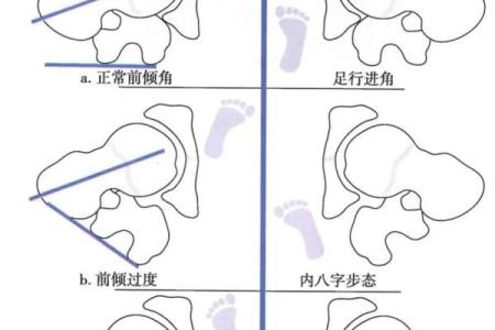 八字步女生