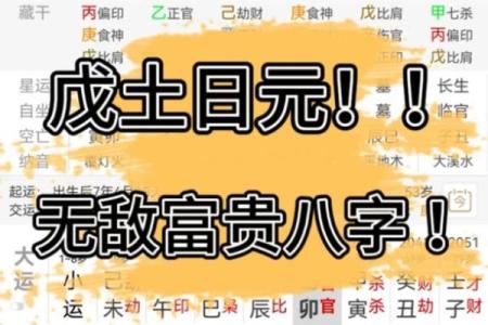火炎土燥富贵八字