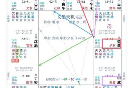 紫薇斗数美女盘