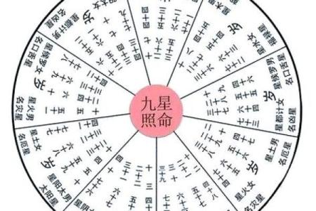 怎么判断八字里的太阴星和太阳星