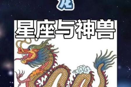 12星座分别适合什么坐骑