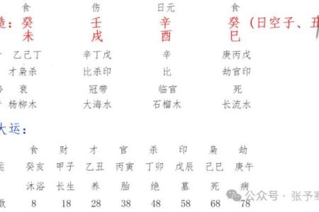 癸亥日柱男女命八字运程