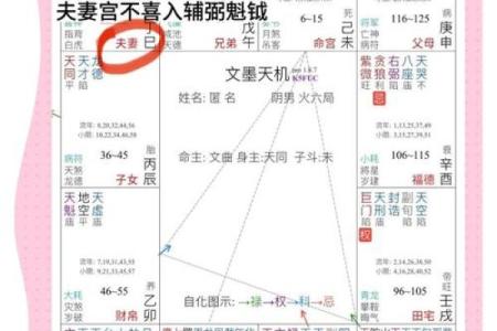 紫微斗数之夫妻宫与诸星,紫微星在夫妻宫是什么意思？