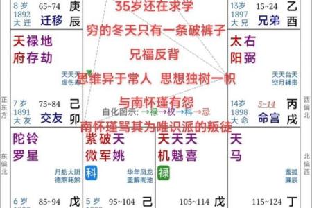 倪海厦紫薇斗数案例10
