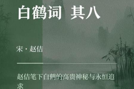 白鹤鸣八字