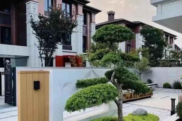 庭院风水树有哪些 庭院种什么树风水好