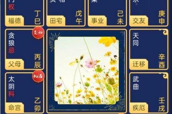 紫薇在官禄宫旺