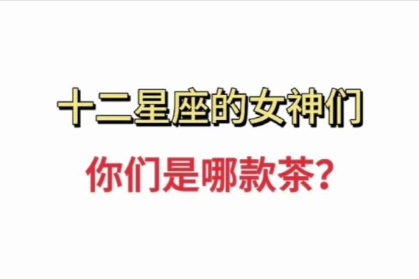 十二星座的女人适合做什么生意