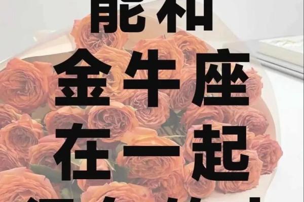 金牛座最应该嫁给哪个星座