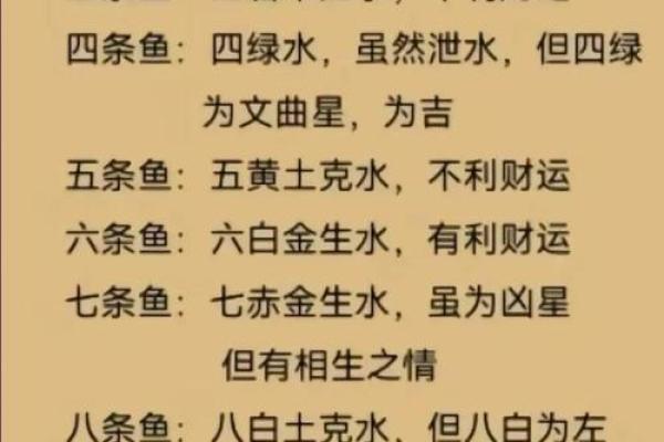 我是做生意的.怎样养风水鱼？