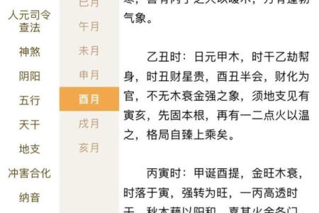 周易八字命理学 周易八字命理学详解