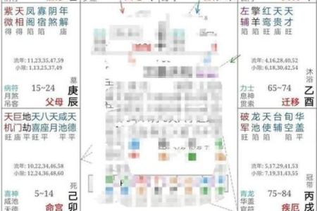 紫微斗数能量组合 紫薇斗数看你的潜能？