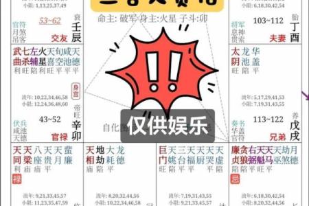 倪匡紫薇斗数