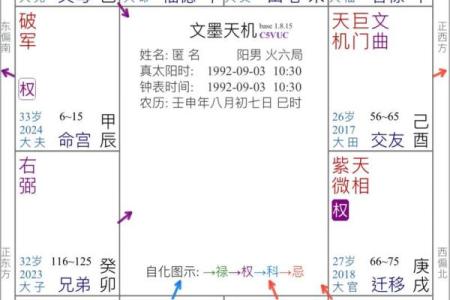 广州看紫薇斗数