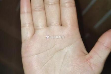 手型算命：土型手人的性格与命运