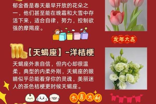 生日命运：九月二十五是什么星座？