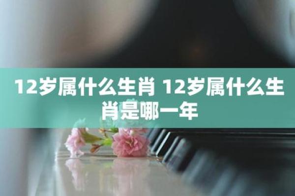 韩国四大天王是哪几个星座