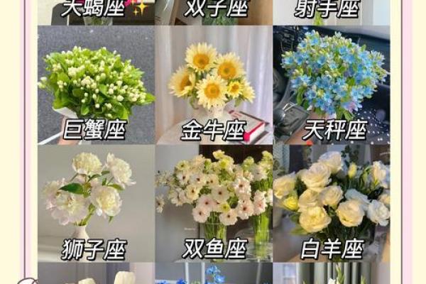十二星座的专属花都有哪些呢
