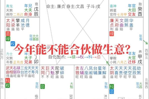 紫薇斗数教学谁的更好