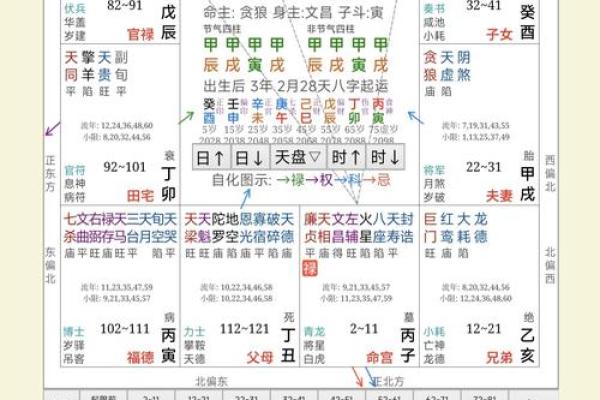 紫薇斗数星盘图片