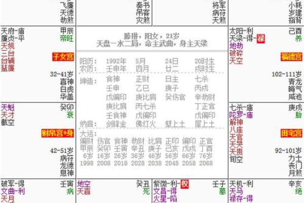 紫薇斗数星盘图片