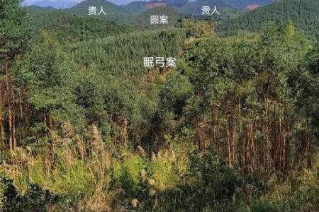 如何看祖坟地风水宝地