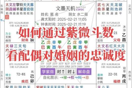 紫薇斗数结婚月份