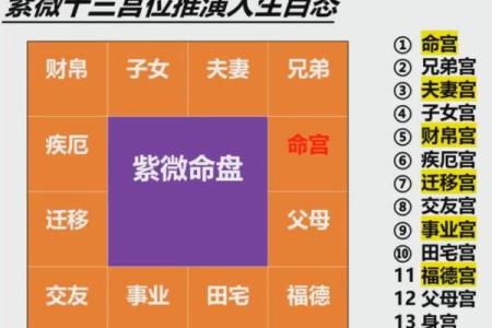 紫薇斗数紫薇七杀在命宫