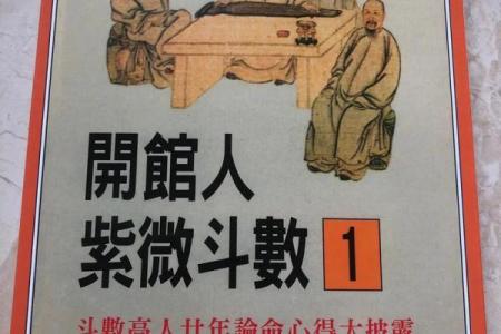 紫薇斗数哪些书好