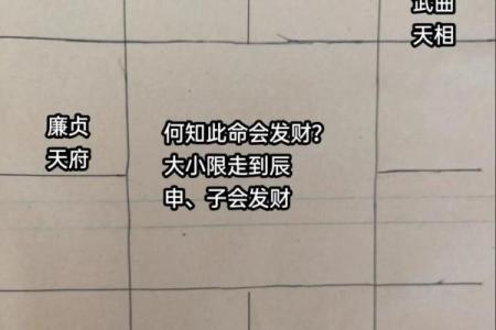 灵机紫薇斗数苹果版